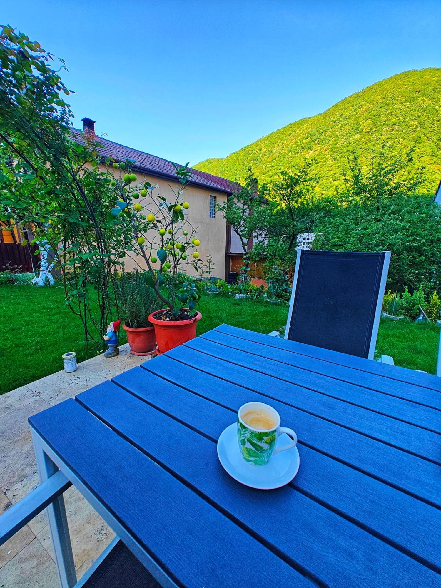 Casa Miclau Apartment Байле Херкулане Екстериор снимка