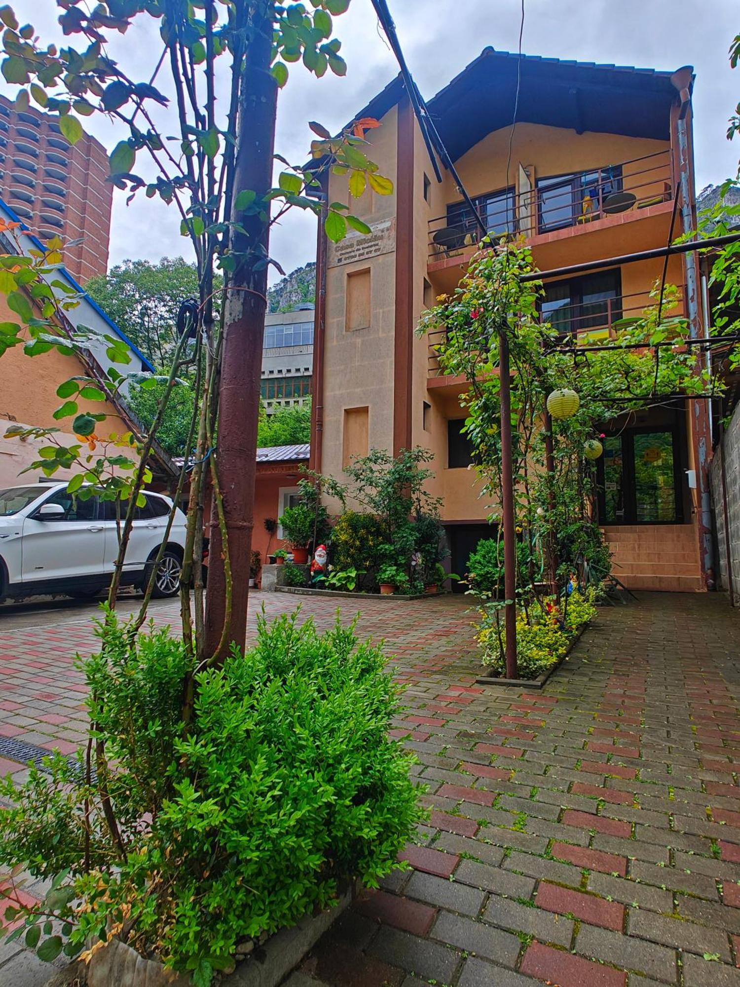 Casa Miclau Apartment Байле Херкулане Екстериор снимка