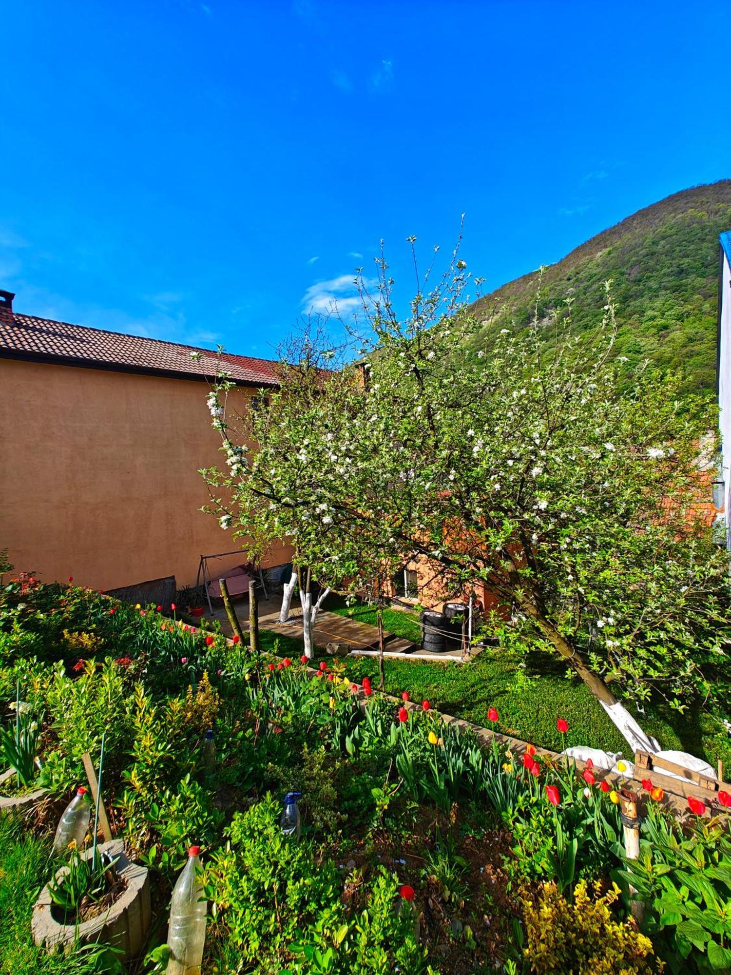 Casa Miclau Apartment Байле Херкулане Екстериор снимка