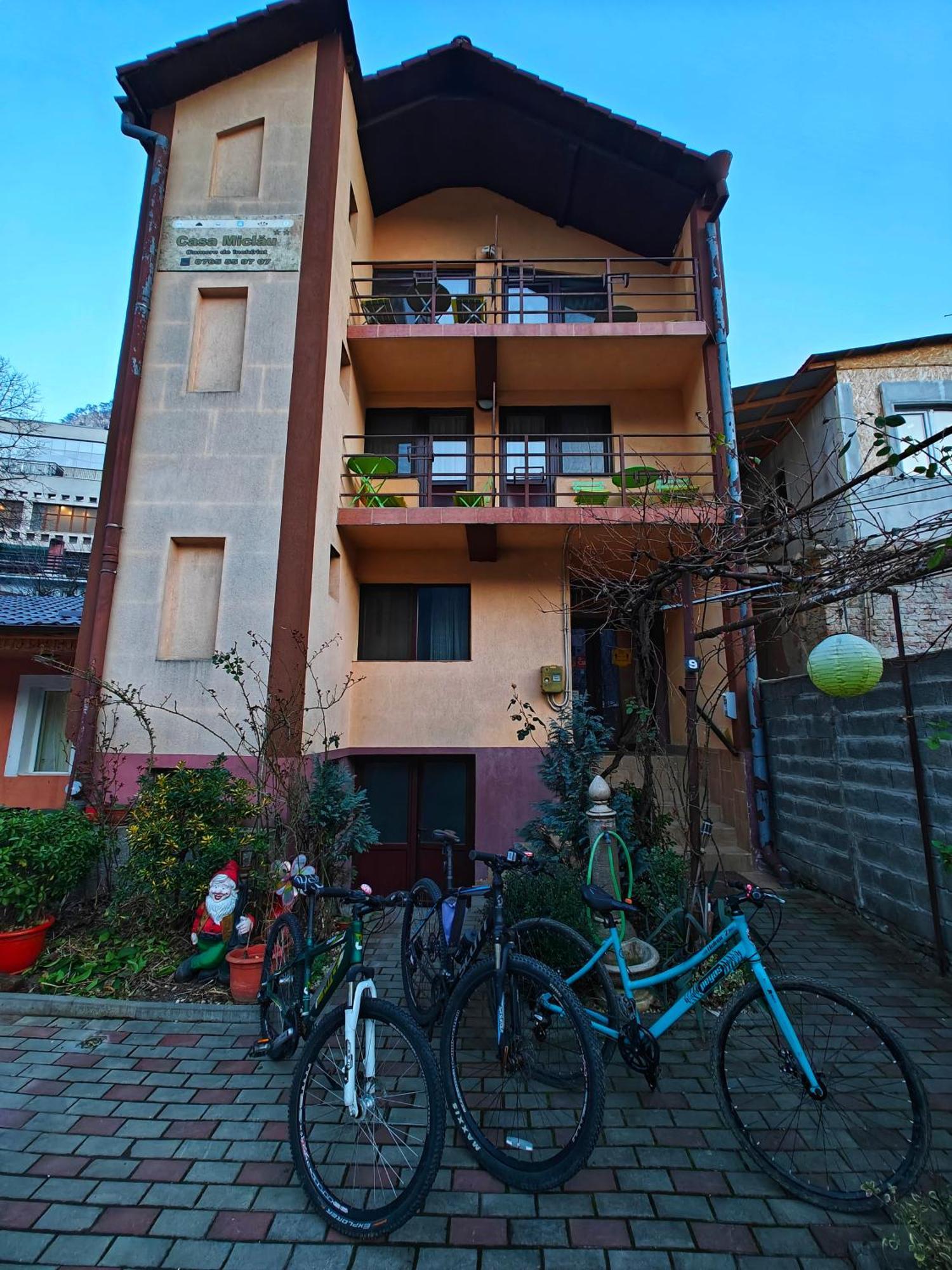 Casa Miclau Apartment Байле Херкулане Екстериор снимка