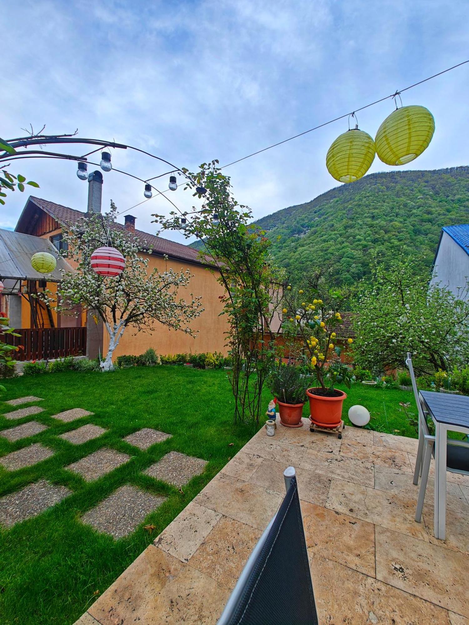 Casa Miclau Apartment Байле Херкулане Екстериор снимка