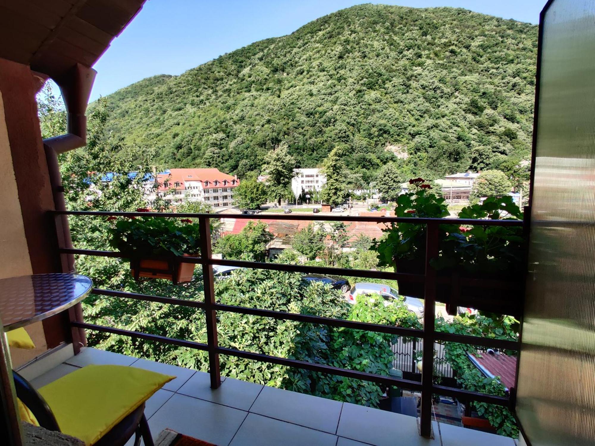 Casa Miclau Apartment Байле Херкулане Стая снимка